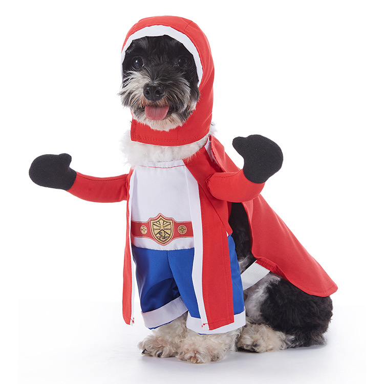 Halloween-Kostüm für Hunde – verschiedene Designs