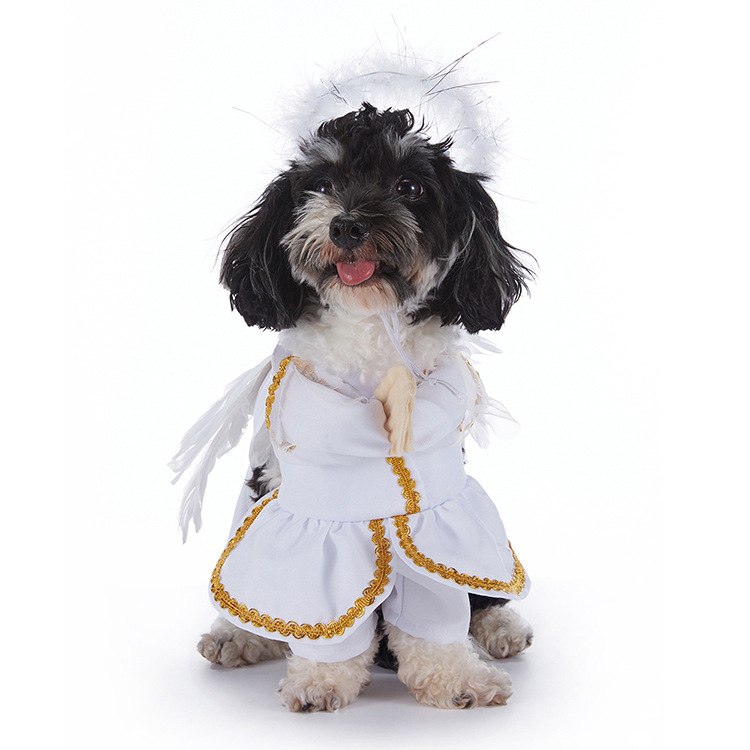 Halloween-Kostüm für Hunde – verschiedene Designs