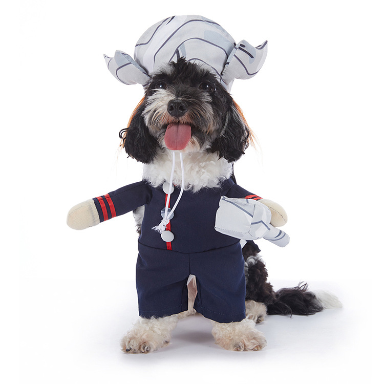 Halloween-Kostüm für Hunde – verschiedene Designs
