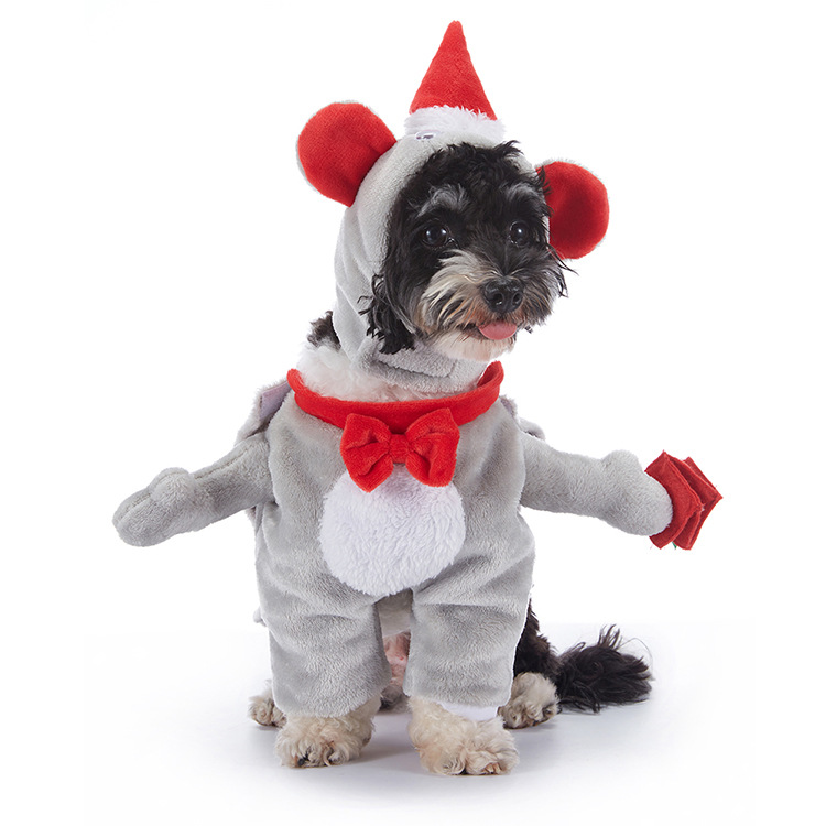 Halloween-Kostüm für Hunde – verschiedene Designs