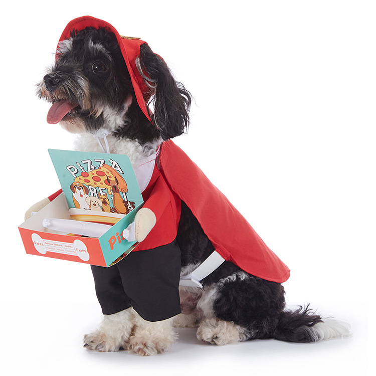 Halloween-Kostüm für Hunde – verschiedene Designs