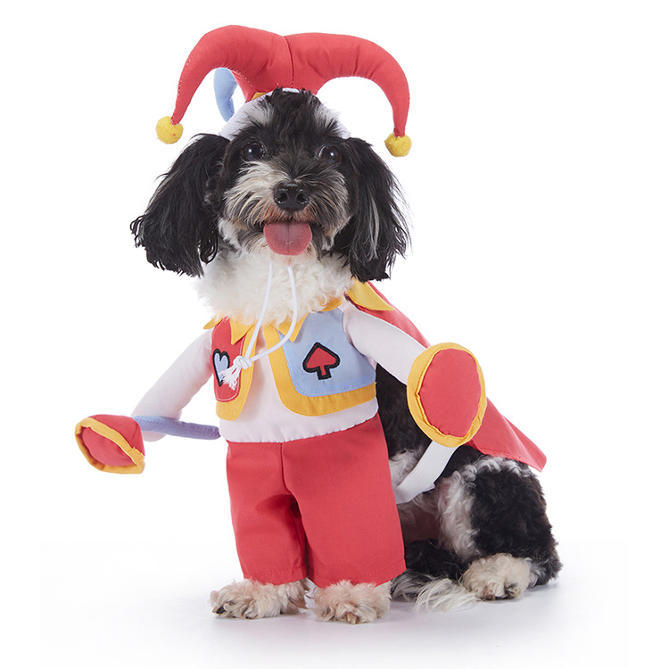 Halloween-Kostüm für Hunde – verschiedene Designs