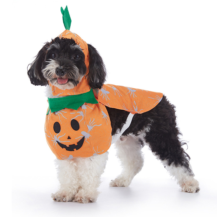 Halloween-Kostüm für Hunde – verschiedene Designs