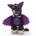 Halloween-Kostüm für Hunde – verschiedene Designs