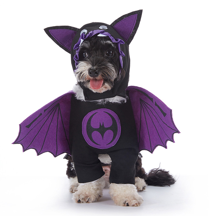 Halloween-Kostüm für Hunde – verschiedene Designs