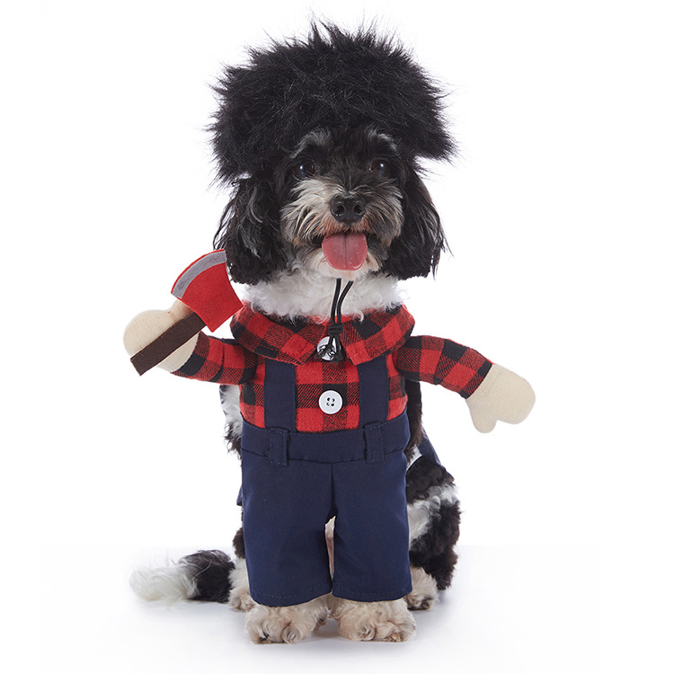 Halloween-Kostüm für Hunde – verschiedene Designs